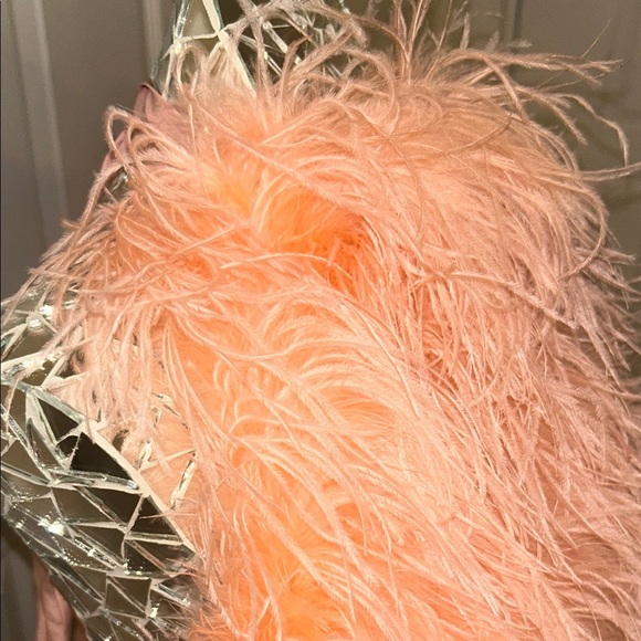 SAFFIYYAH PAUL Ostrich Feather Peach High Neck Open Back Mini Dress M/L - Picture 6 of 16